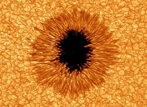 How Is Sunspot Formed? | The Scientific Gamer