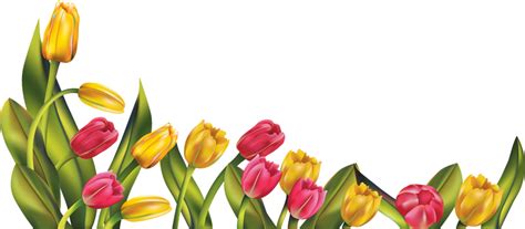 Free Spring Flowers Borders, Download Free Spring Flowers Borders png images, Free ClipArts on ...