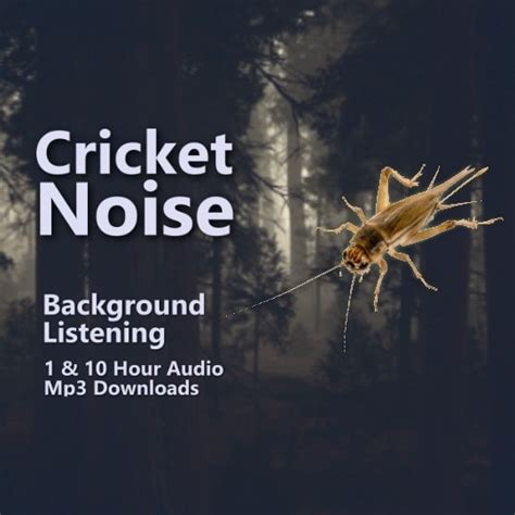 Cricket Background Sounds 1 and 10 Hour Audio Downloads - Electric ...