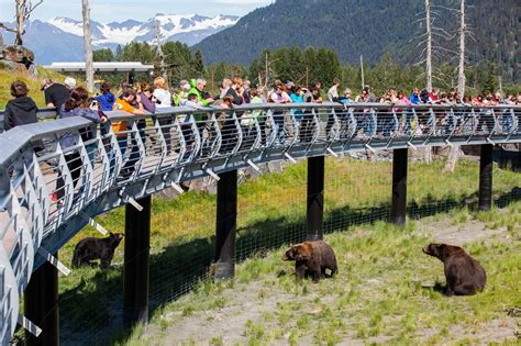 Alaska Wildlife Conservation Center - Girdwood Alaska