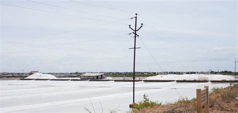 The Lives of the Salt Harvesters of Thoothukudi in a Warming World