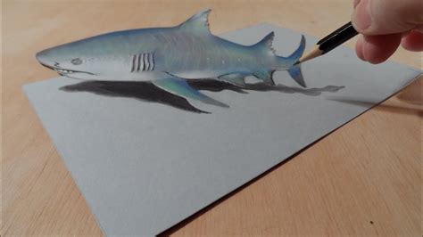 Drawing a 3D Gray Shark, Trick Art & Amazing Animals - YouTube