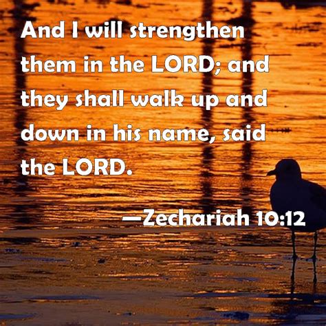 Zechariah 10:12 And I will strengthen them in the LORD; and they shall walk up and down in his ...