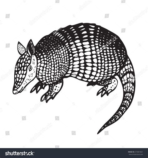 Armadillo Hand Drawn Vector Illustration Black Stock Vector (Royalty Free) 273081821