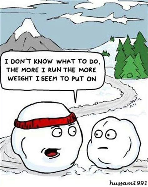 Snowballs (With images) | Funny christmas pictures, Winter humor, Christmas humor