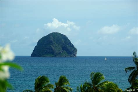 Image De Plage: Photos Plage Du Diamant Martinique