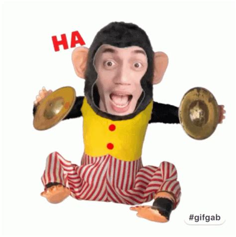 Haha Monyet GIF - Haha Monyet Ketawa - Discover & Share GIFs