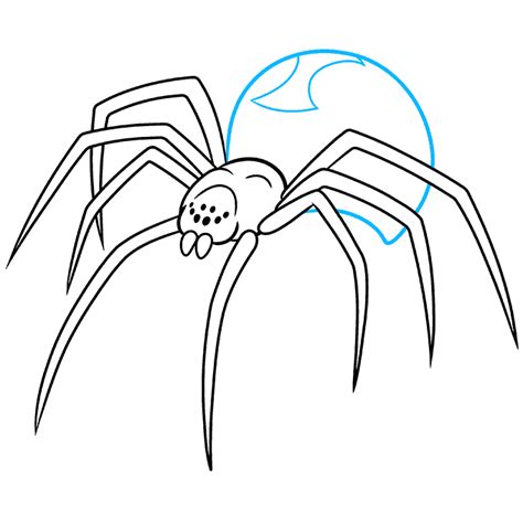 How to Draw a Black Widow Spider - Really Easy Drawing Tutorial