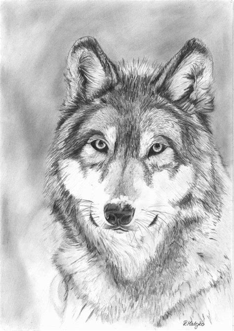 Wolf Original Graphite Pencil Drawing by GraphiteArtStudio, £25.00 | Realistic animal drawings ...