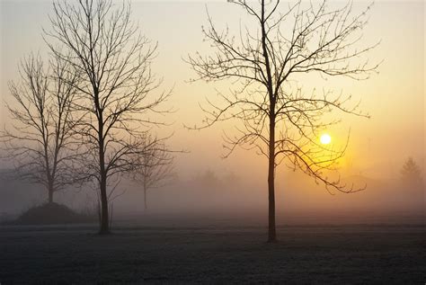 Foggy Sunrise by bubblelady on DeviantArt