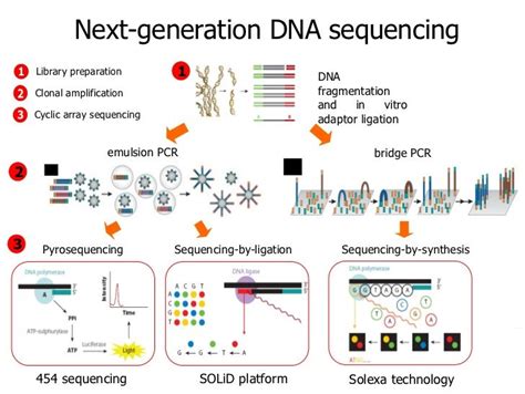 Introduction to next generation sequencing | Bioquímica, Biologia ...