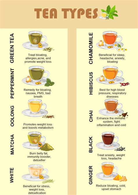 Tea Types Infographic Template | MyDraw