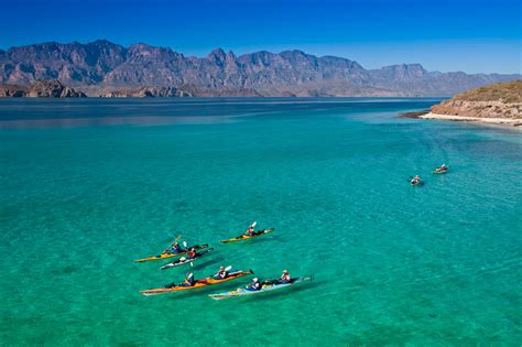 Baja Kayaking Mexico and Sea of Cortez Sea Kayak Trips Since 1988