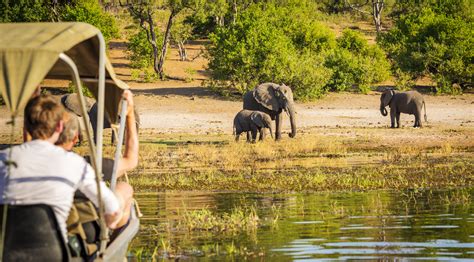 Botswana Untouched Safari | Bestway Tours & Safaris