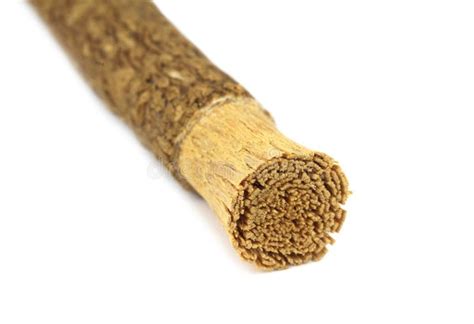 Old Islamic Traditional Natural Toothbrush Miswak. Macro Image Stock ...