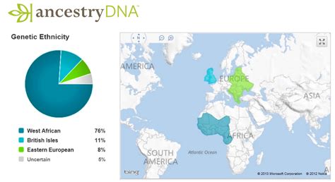 What Does a DNA Report Look Like and How to Read It