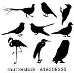 Cuckoo Silhouette Free Stock Photo - Public Domain Pictures