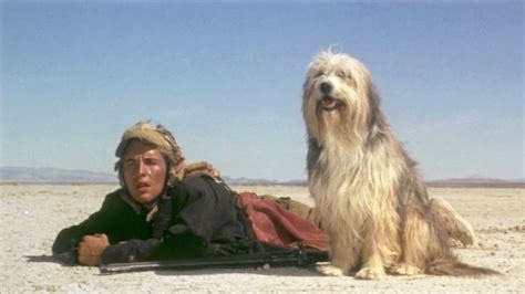 A Boy and His Dog (1975) — The Movie Database (TMDB)