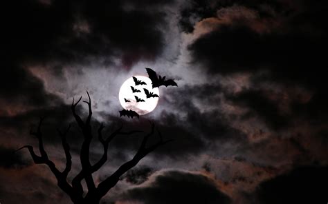 [75+] Scary Halloween Backgrounds on WallpaperSafari