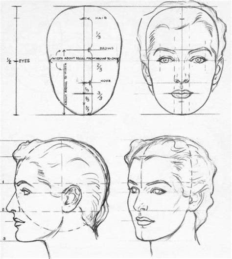 andrew loomis head proportions - Google-søk: Drawing Heads, Book ...