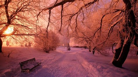 Pink Winter Wallpapers - Top Free Pink Winter Backgrounds - WallpaperAccess