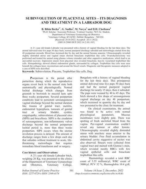 (PDF) SUBINVOLUTION OF PLACENTAL SITES -ITS DIAGNOSIS AND TREATMENT IN A LABRADOR DOG