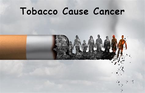 Tobacco and cancer - what are the risks?Get full information about it