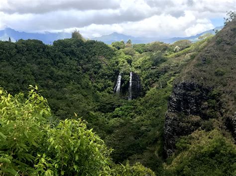 Opaeka`a Falls in Wailua (Kauai), HI - Parent Reviews & Photos | Trekaroo