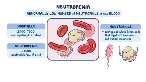 Neutropenia: Nursing - Osmosis Video Library