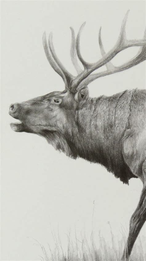 Elk Art Print, Wildlife Art Print, Gift for Outdoorsman, Animal Print Elk, Gift for Hunter, Gift ...