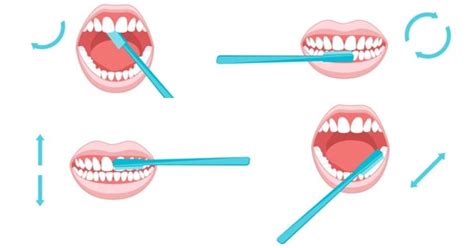 How to Properly Brush your Teeth - Oral Surgery DC