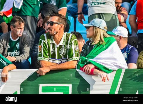 SC - Florianopolis - 06/26/2022 - BRAZILIAN A 2022 - AVAI X PALMEIRAS - Palmeiras fans during a ...