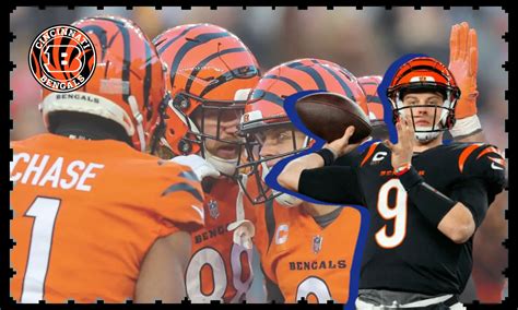 21 Cincinnati Bengals Trivia Questions: Can You Roar Louder Than the ...