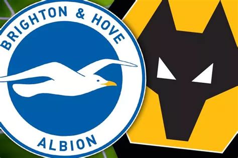 LiVE HD Brighton Vs Wolves - BestLiVE-ONline