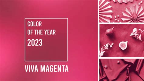 Pantone's Color of the Year 2023: Decorating your Condo with Viva Magenta | Condo Blog