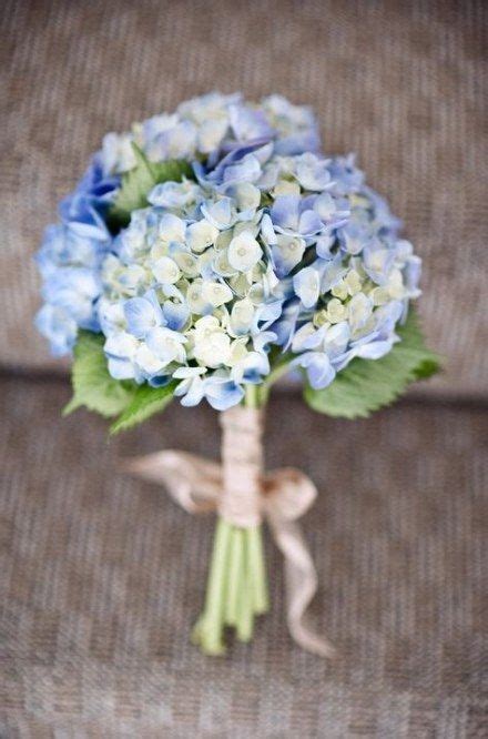 46 Trendy Flowers Blue Hydrangea Bouquets | Hydrangeas wedding, Blue wedding bouquet, Hydrangea ...