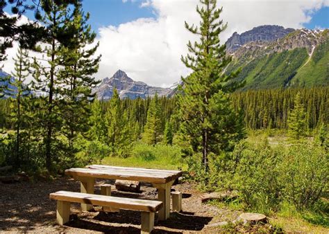 Everything You Need to Know About Camping on the Icefields Parkway