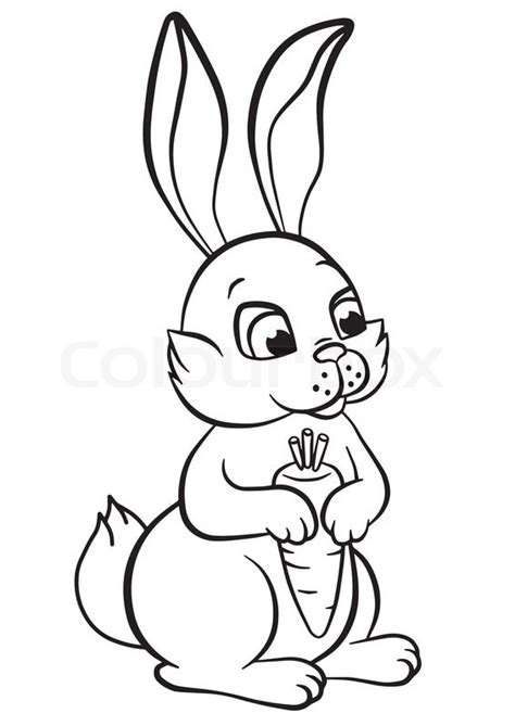 Hare Line Drawing at GetDrawings | Free download