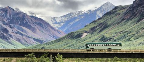 Denali National Park Bus Tours | AlaskaTravel.com