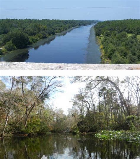 Ocklawaha River: Kayak or canoe a wild river that was saved