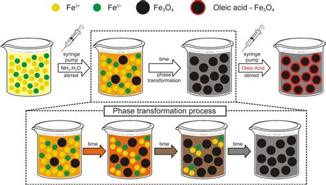 Synthesis procedure of Fe3O4-OA nanoparticlesandcolor change phenomenon ...