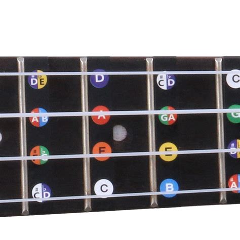 Ukulele Fretboard Stickers Chord Fret Stickers e Sticker Finger Guide ...