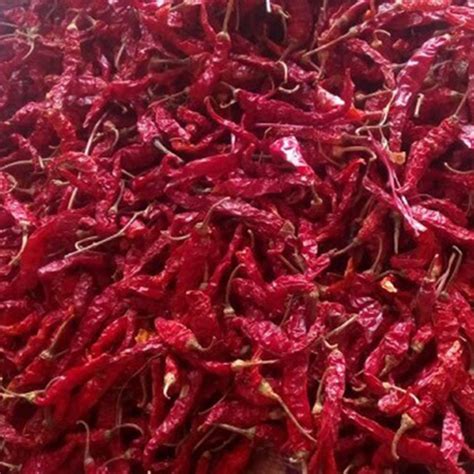 With Stem Less Spicy Byadgi Dry Red Chilli, Rs 145 /kilogram Visweswara Trading Company | ID ...