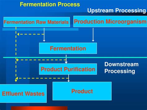 PPT - Food Microbiology II- NFSC 278 Industrial Microbiology PowerPoint ...