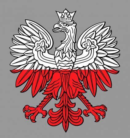 Poland eagle in national colors — Stock Illustration