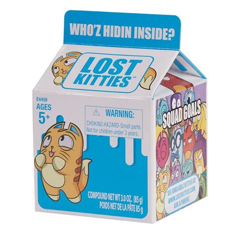 Lost Kitties Blind Box