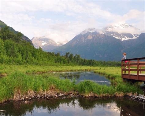 Heart Alaska | Nature center, Eagle river, Nature