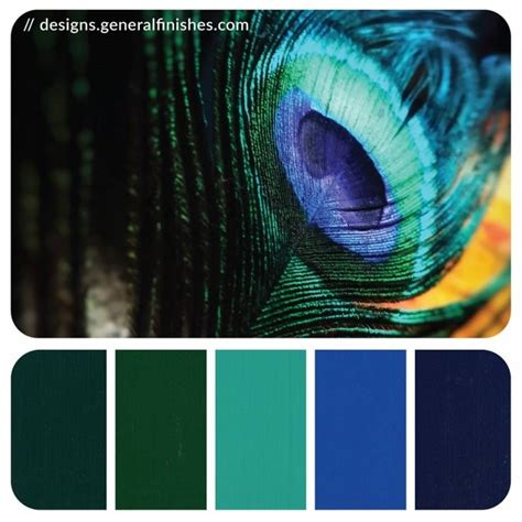 an image of a peacock's feathers with color swatches