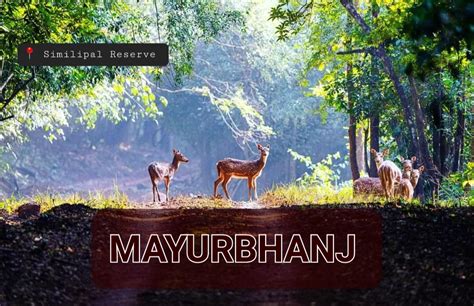 Odisha’s Mayurbhanj Features In Time Magazine’s “The World’s Greatest Places Of 2023 ...