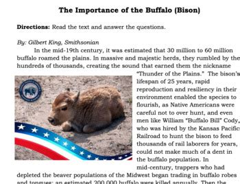 Westward Expansion - Importance of the Buffalo (Bison) by SusTeaches